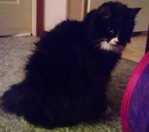 IMG_20160609_225402036