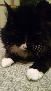 IMG_20160609_225924318