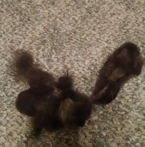 IMG_20160609_230155093